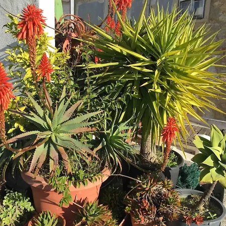 Terrace & Sunny - Center, Quiet & Pratical Apartman Lisboa