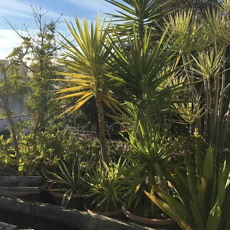 Apartment Terrace & Sunny - Center, Quiet & Pratical
